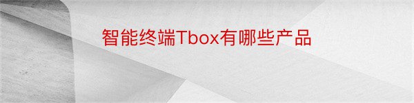 智能终端Tbox有哪些产品